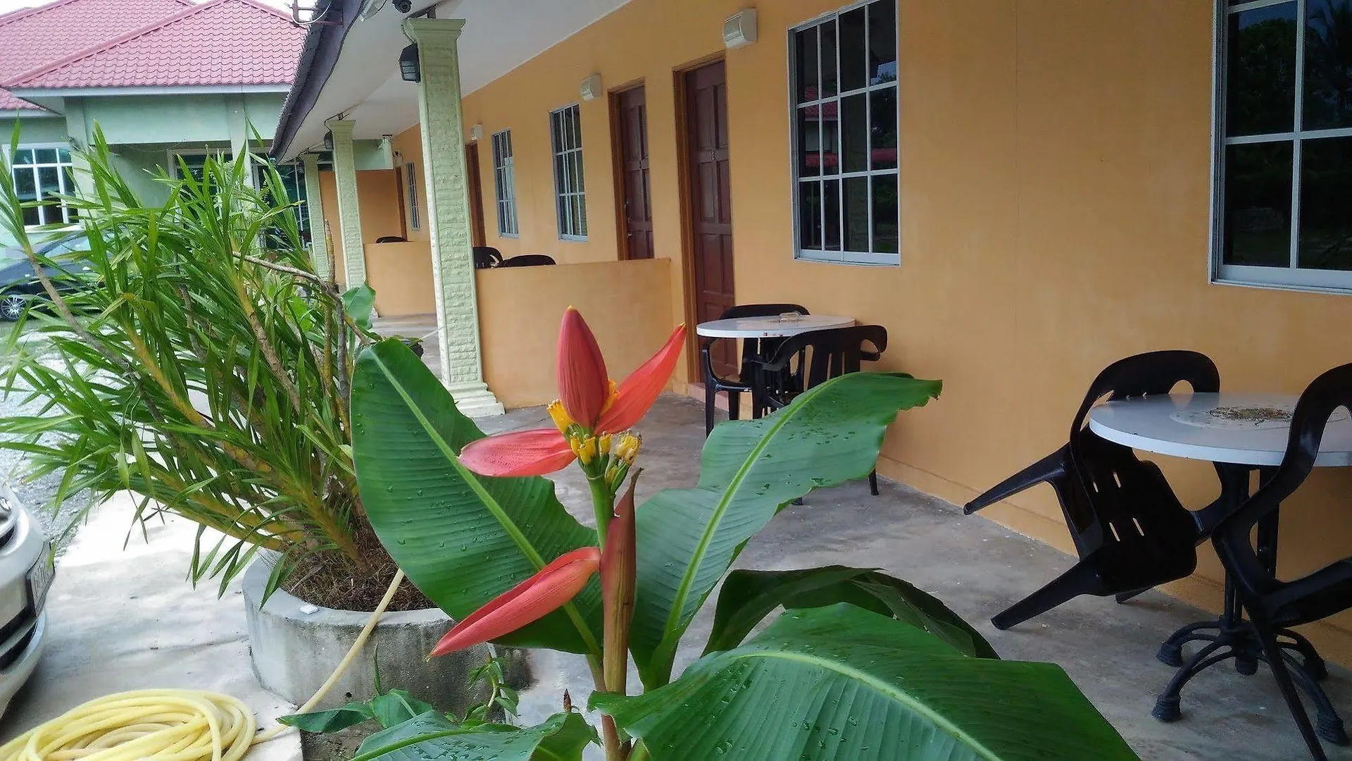 Tok Man Inn Langkawi